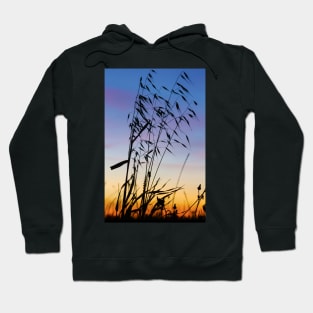 Wild Oat Sunset Silhouette Hoodie